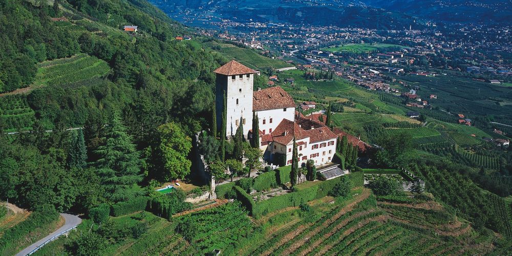 Schlussstein auf bewaldetem Hang mit Weinkellerei und Tal.