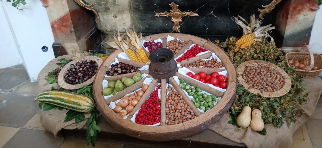 Schnittstelle zur Webseite des Marktes Altomünster – ein lebendiger Blick auf die frischen, organischen Produkte des Marktes.