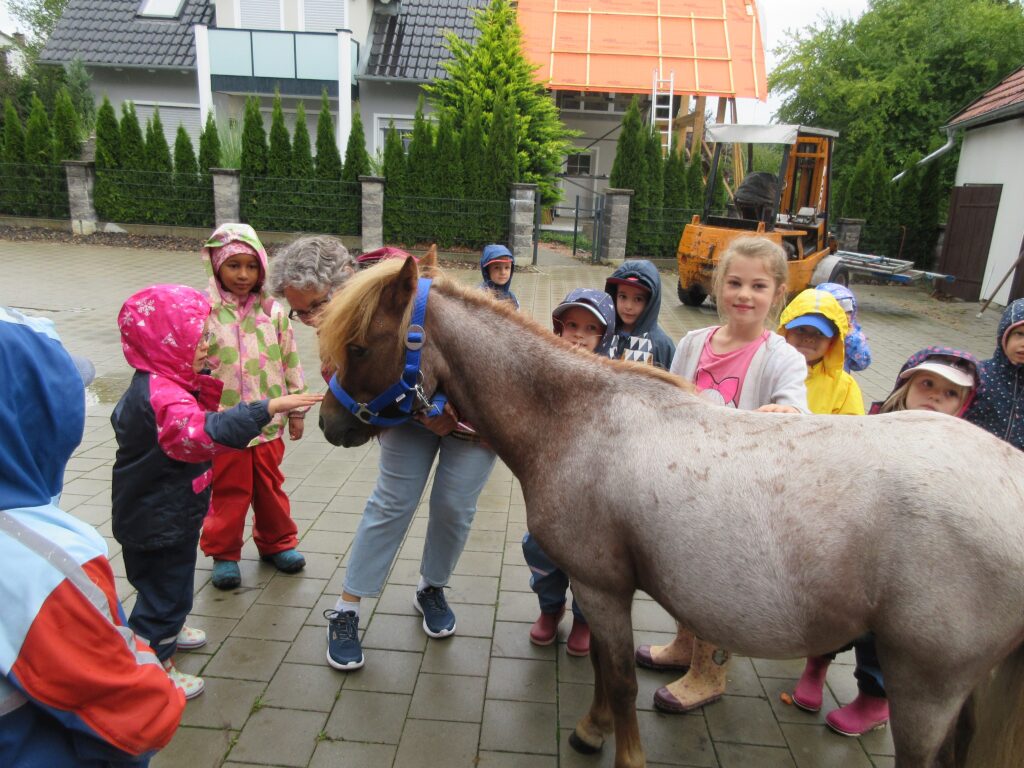 Kindern mit Pferd
