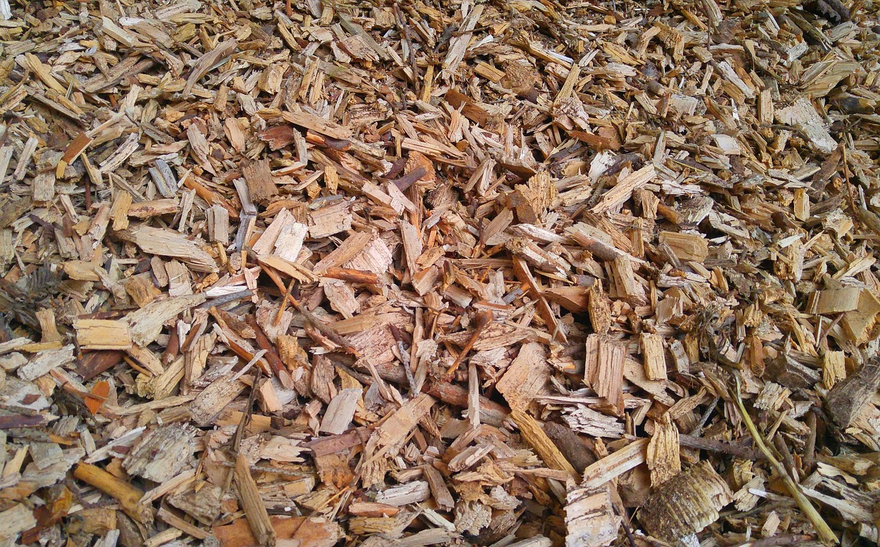 Pflastermulch aus abgebrochenem Holz.