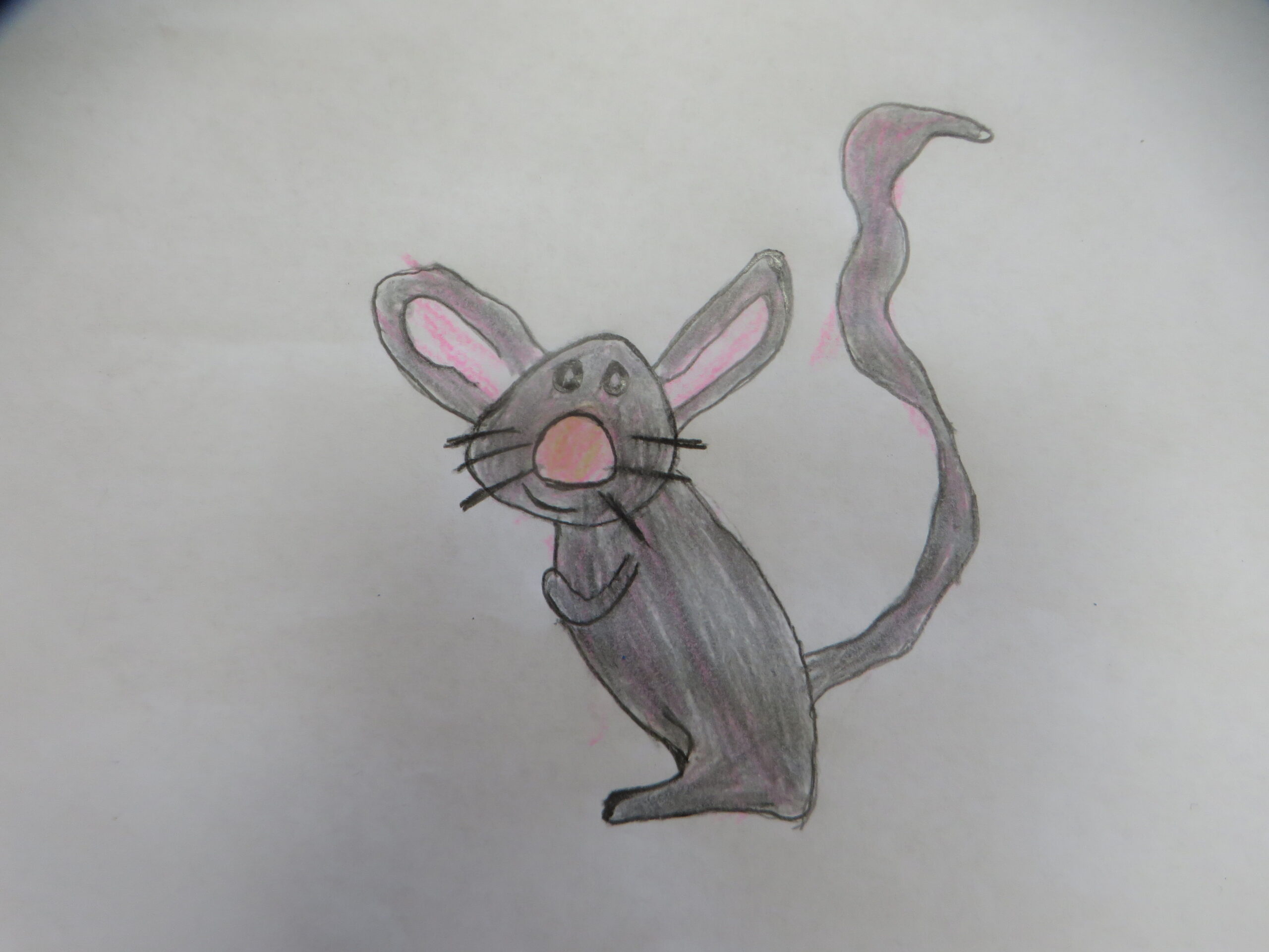 Maus mit grauem Körper, rosa Innenflecken, schwarzer Schnauz, langem Schwanz und Hinterbein.