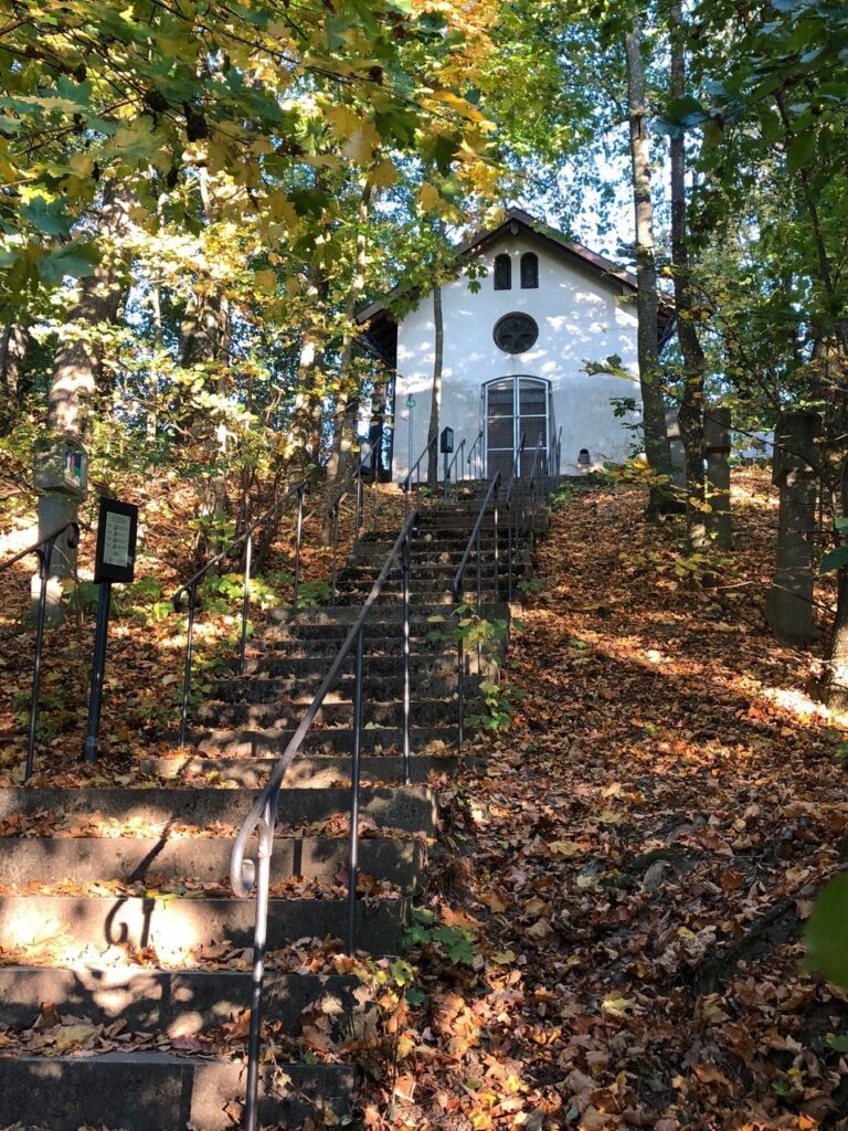 Einfacher Weg zum Altomünster, umgeben von Bäumen und herbstlichen Laub.