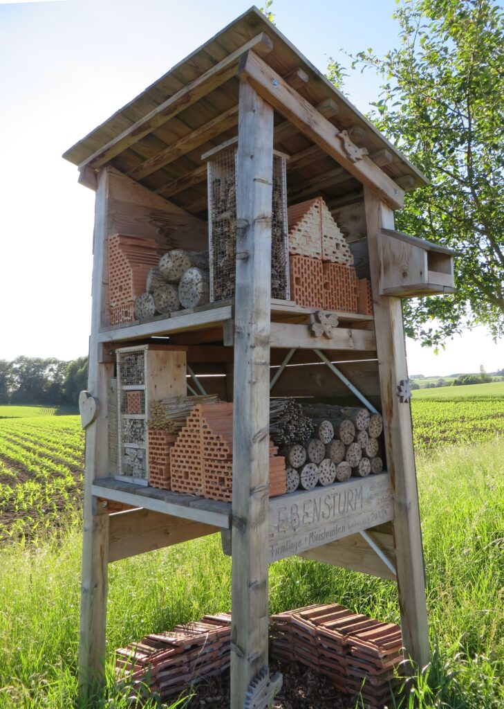 Höchster Sturm, Ebenstein. Baudarstellung für den Marktplatz Altomünster.
