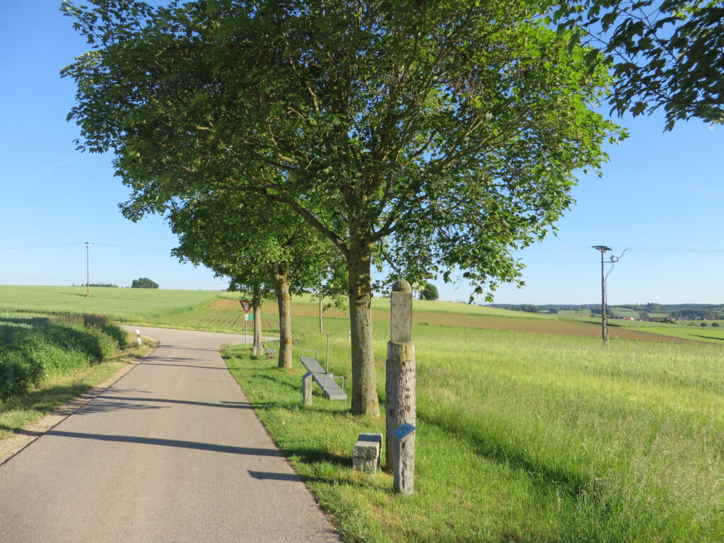 Lichter auf der ländlichen Straße, mit Baum und Feldern.