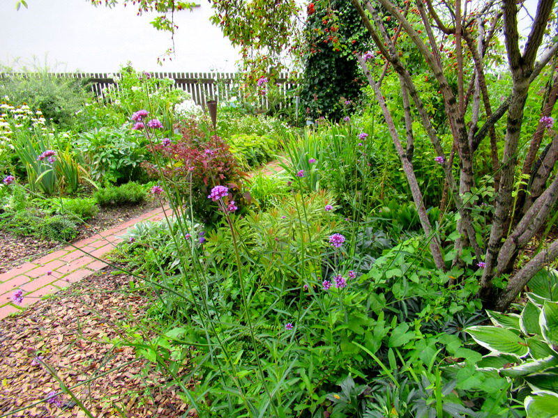 Garten mit Pflanzen und Pilzen auf einem Weg.