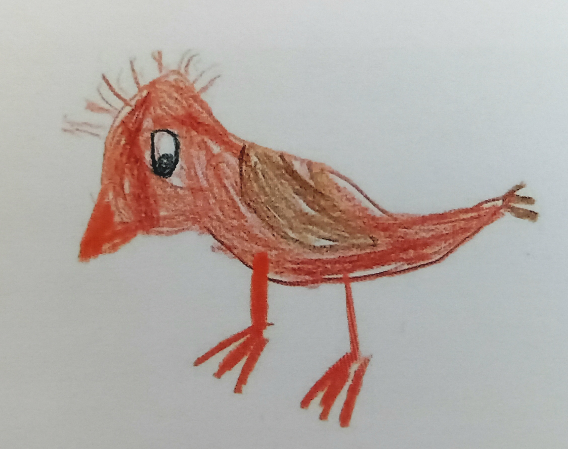 Kinderzeichnung eines roten Vogels mit Federbusch und Augen.