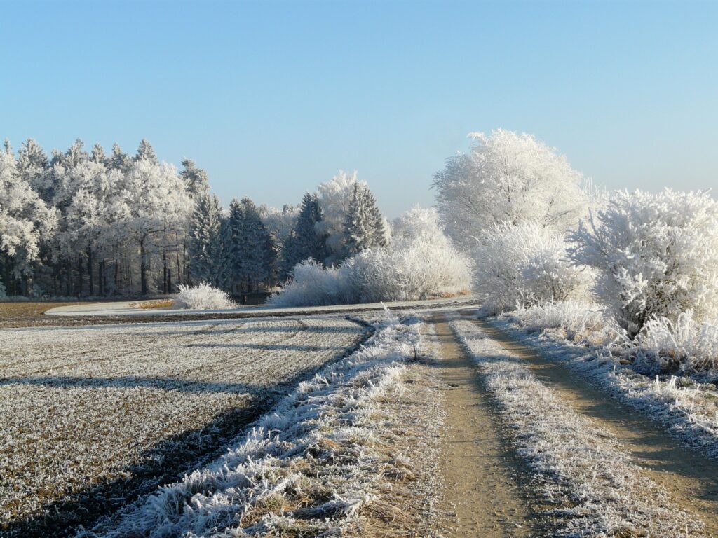 Schneebedeckte Felder und Straße im Winter.