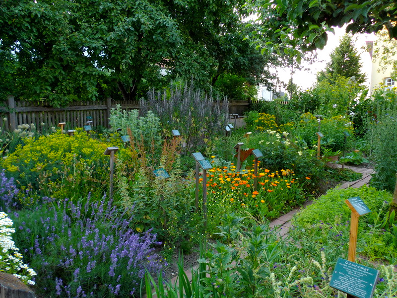 Garten mit verschiedenen Pflanzen und Blumen, die auf Pfähle gestellt sind.