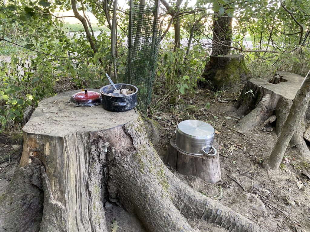 Bäume und Stumpf mit Kochgegenstände im Wald.